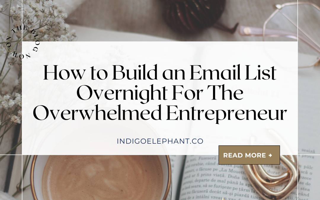 How to Build an Email List Overnight For The Overwhelmed Entrepreneur