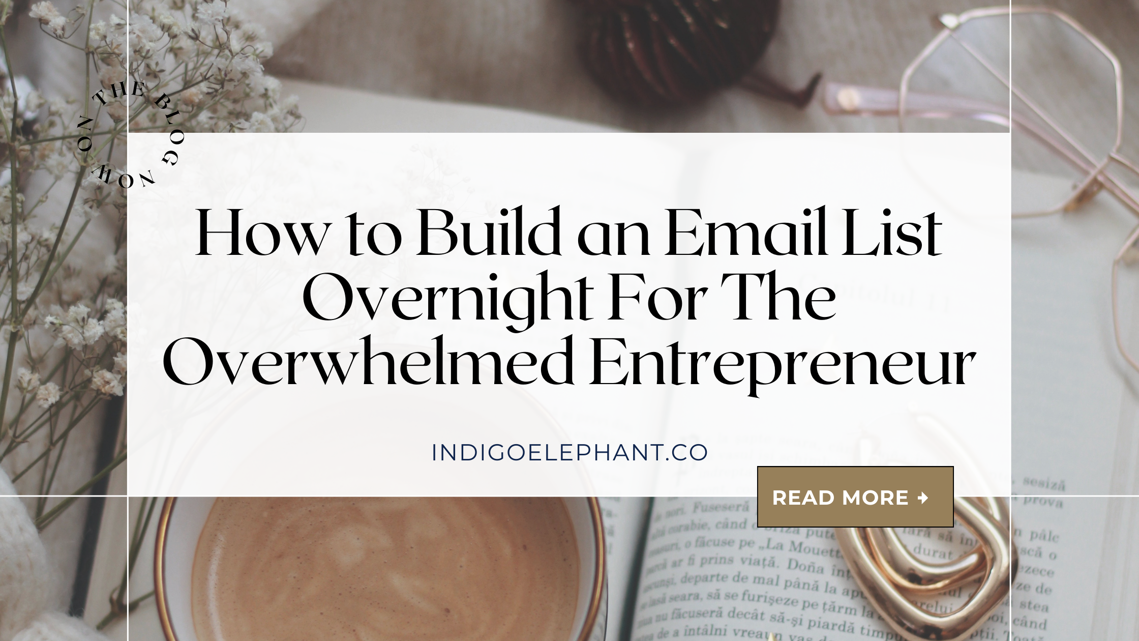 How to Build an Email List Overnight For The Overwhelmed Entrepreneur