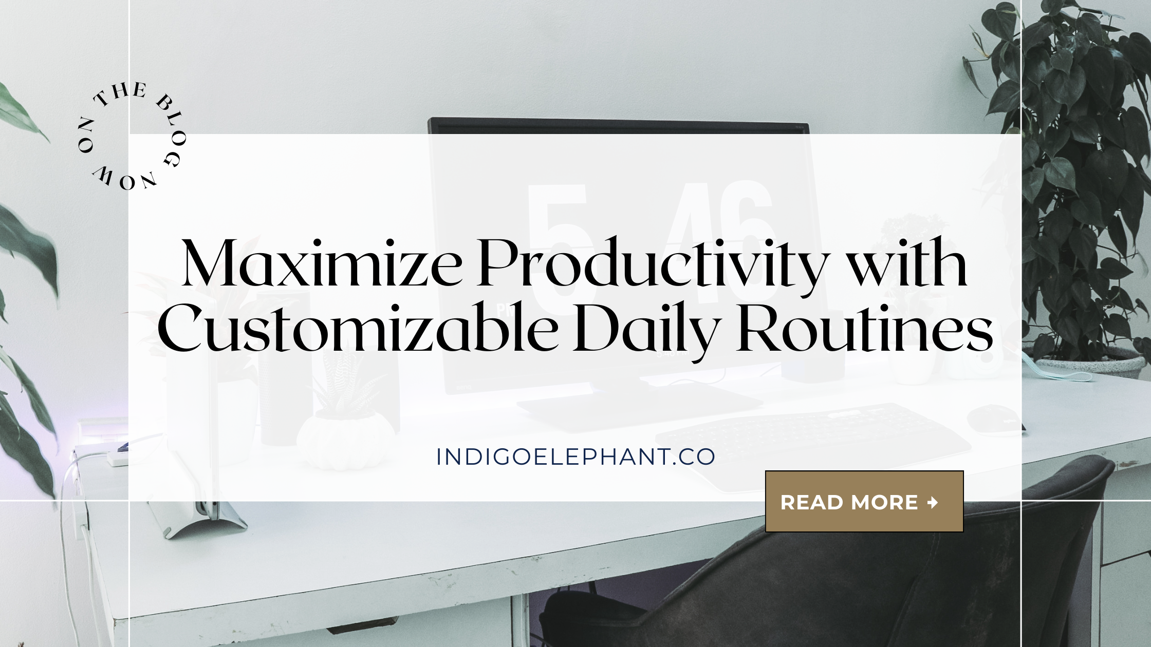 Maximize Productivity with Customizable Daily Routines